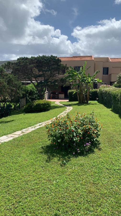 Pelosa - Capo Falcone Excellent Apartment Stintino Bagian luar foto
