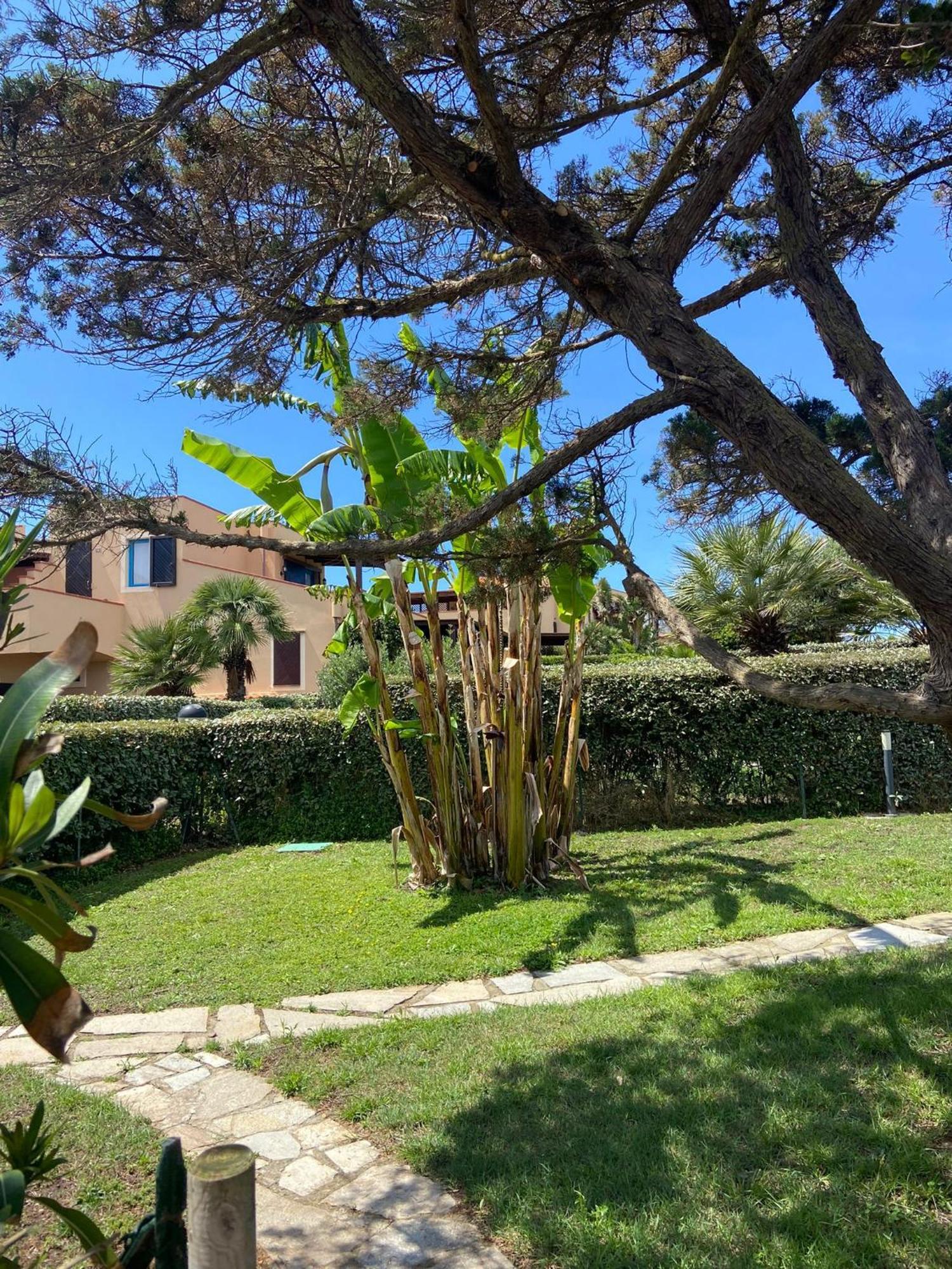Pelosa - Capo Falcone Excellent Apartment Stintino Bagian luar foto